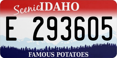 ID license plate E293605