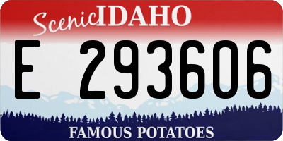 ID license plate E293606