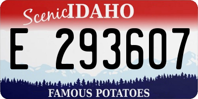 ID license plate E293607
