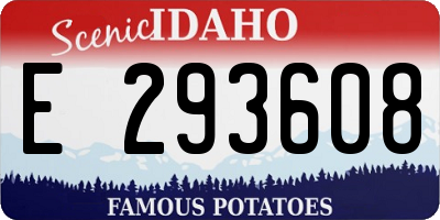 ID license plate E293608
