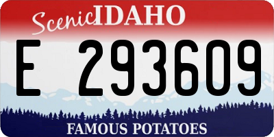 ID license plate E293609