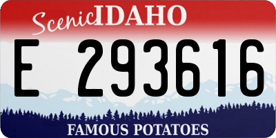 ID license plate E293616