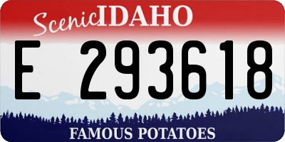 ID license plate E293618