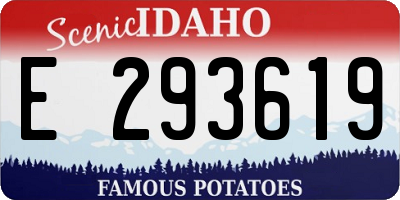 ID license plate E293619