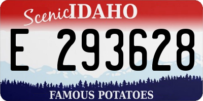 ID license plate E293628