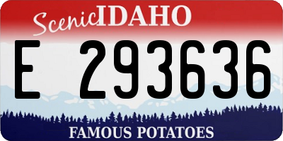 ID license plate E293636