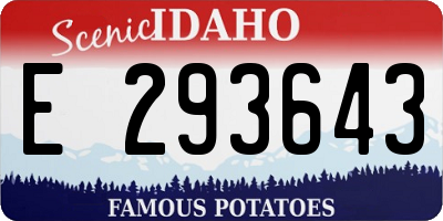 ID license plate E293643