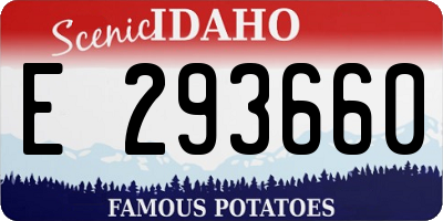ID license plate E293660