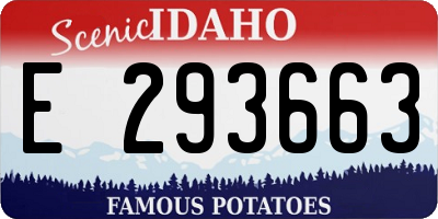 ID license plate E293663