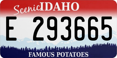 ID license plate E293665