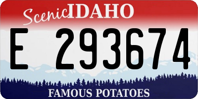 ID license plate E293674