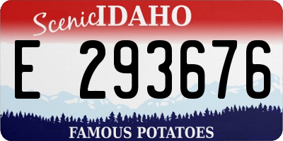 ID license plate E293676
