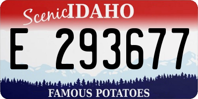 ID license plate E293677