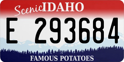 ID license plate E293684