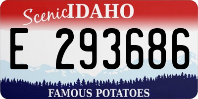 ID license plate E293686