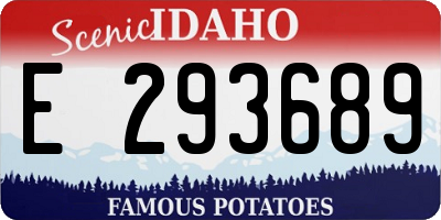 ID license plate E293689