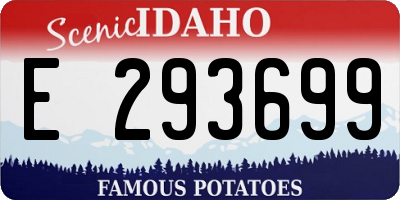 ID license plate E293699