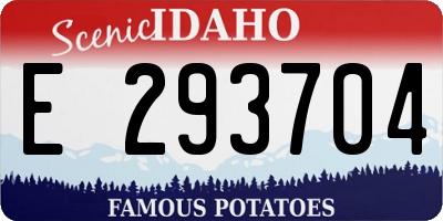 ID license plate E293704