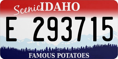 ID license plate E293715
