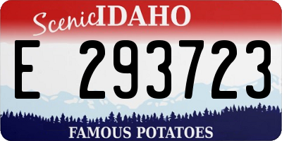 ID license plate E293723