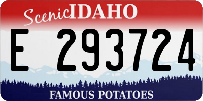 ID license plate E293724
