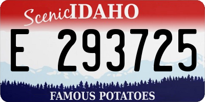 ID license plate E293725