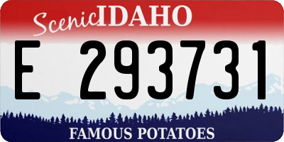 ID license plate E293731