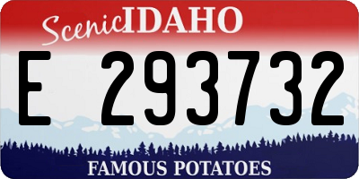 ID license plate E293732
