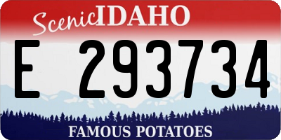 ID license plate E293734