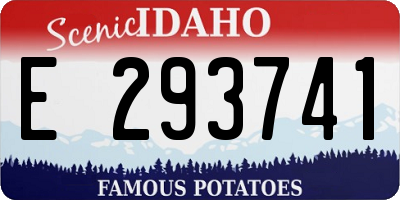 ID license plate E293741