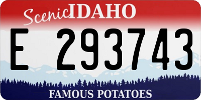 ID license plate E293743