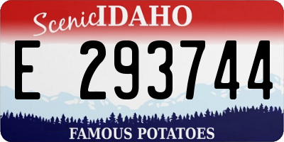 ID license plate E293744