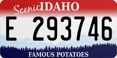 ID license plate E293746