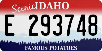 ID license plate E293748