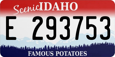 ID license plate E293753