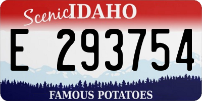 ID license plate E293754