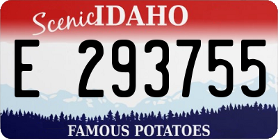ID license plate E293755