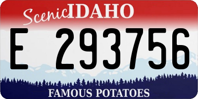 ID license plate E293756