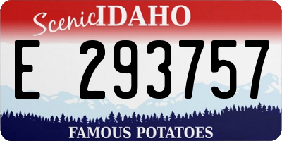 ID license plate E293757