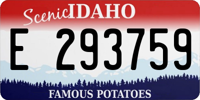 ID license plate E293759