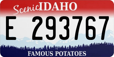 ID license plate E293767