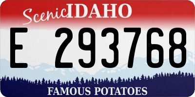ID license plate E293768
