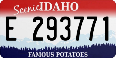 ID license plate E293771