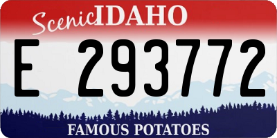 ID license plate E293772