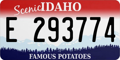 ID license plate E293774