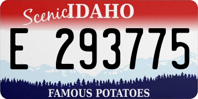 ID license plate E293775