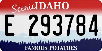 ID license plate E293784