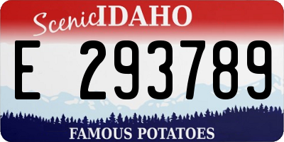 ID license plate E293789