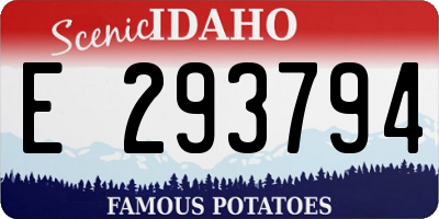ID license plate E293794