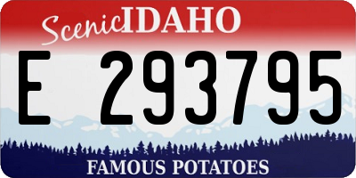 ID license plate E293795